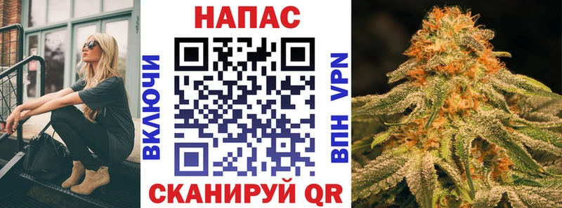Конопля Ganja  Онега 